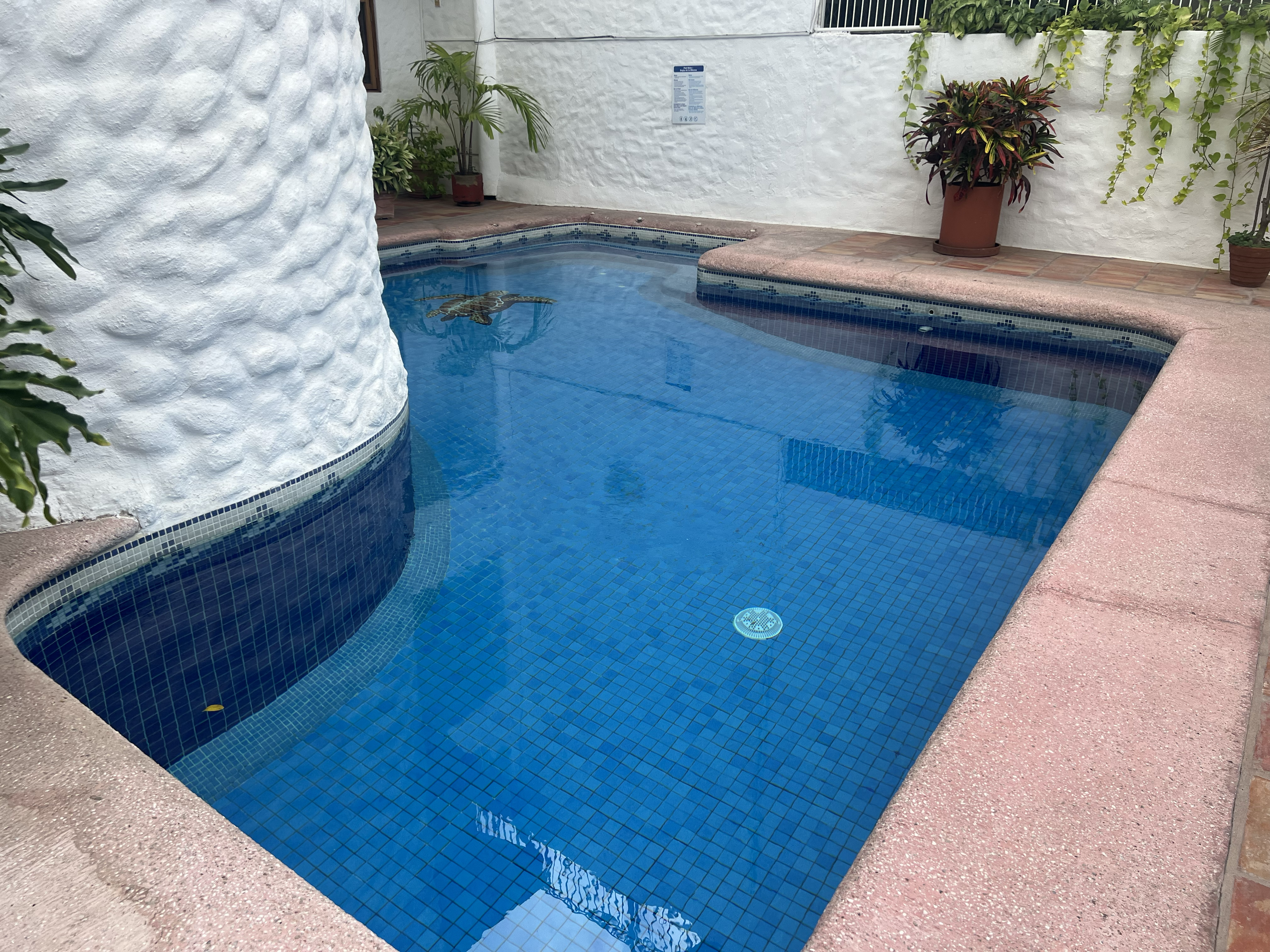 Heated Pool